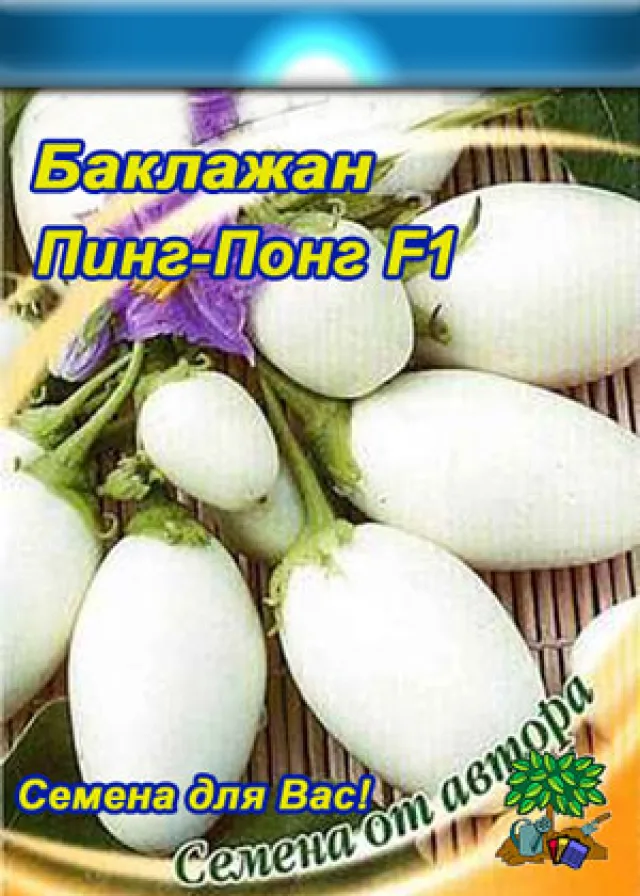 Баклажан ‘Пинг-понг' — фото 2