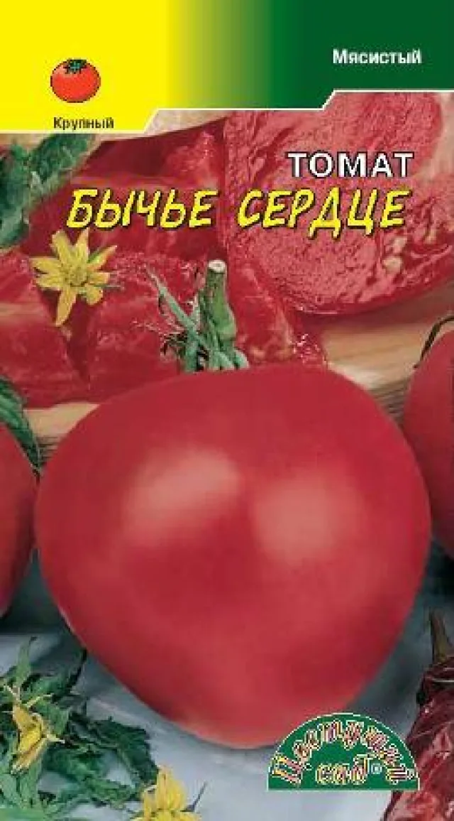 Томат 'Бычье сердце' — фото 3