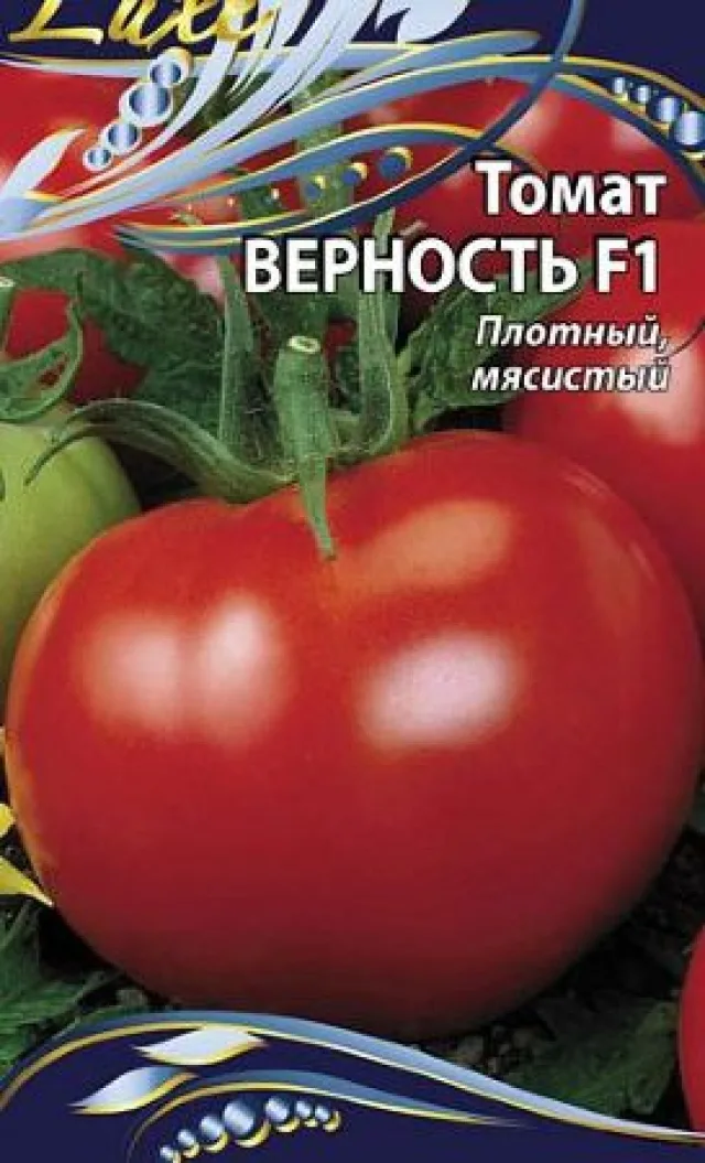 Томат ‘Верность’ — фото 2