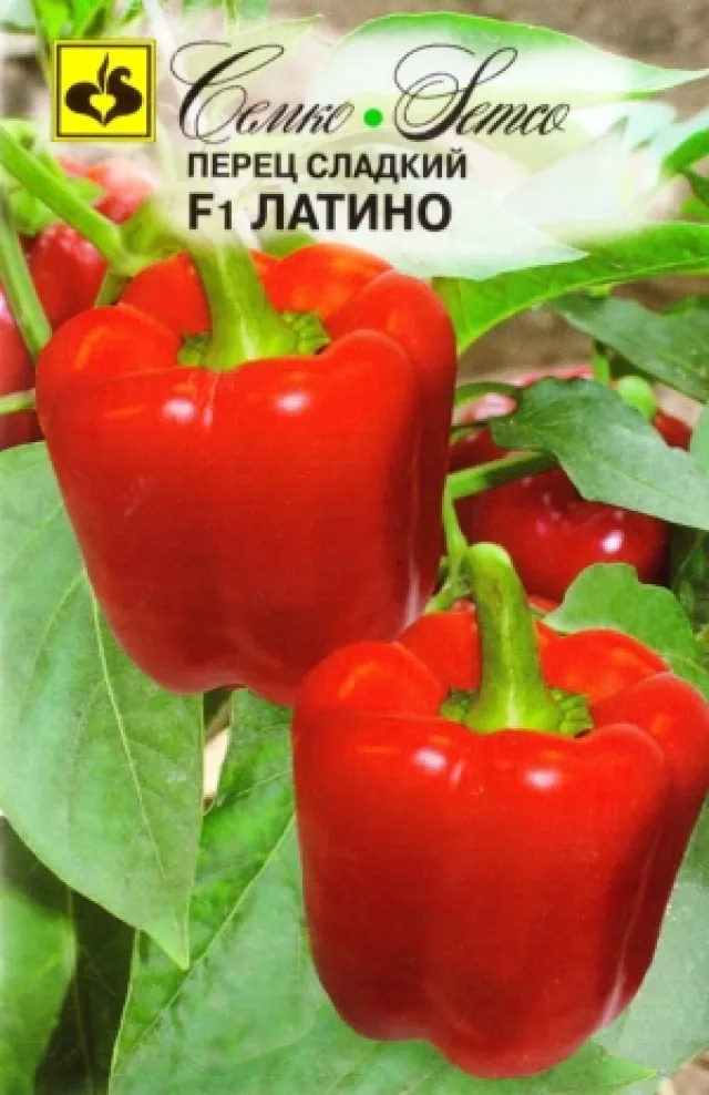 Перец сладкий 'Латино' — фото 2