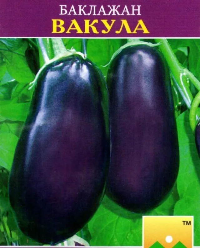 Баклажан ‘Вакула' — фото 3