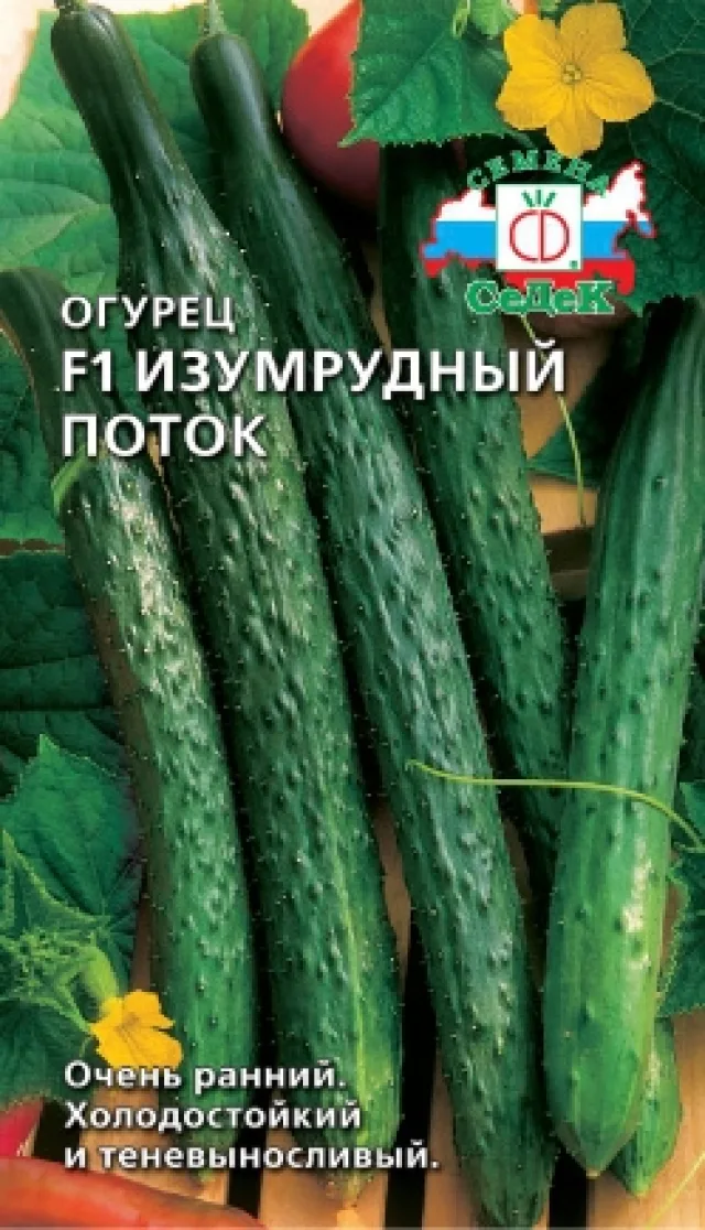 Огурец 'Изумрудный поток' — фото 3