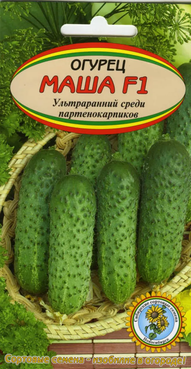 Огурец 'Маша' — фото 3