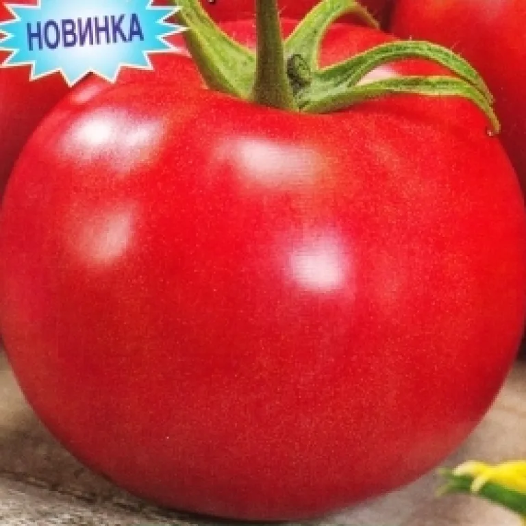 Сорт ‘Хозяин севера F1’