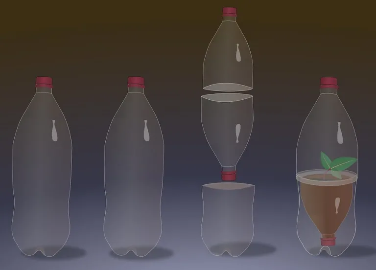 мини тепличка из бутылки