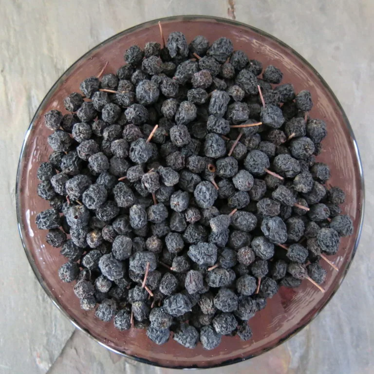Aronia melanocarpa