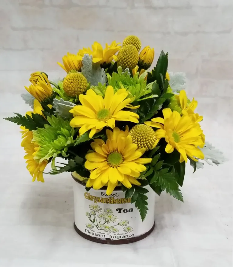 Chrysanthemum