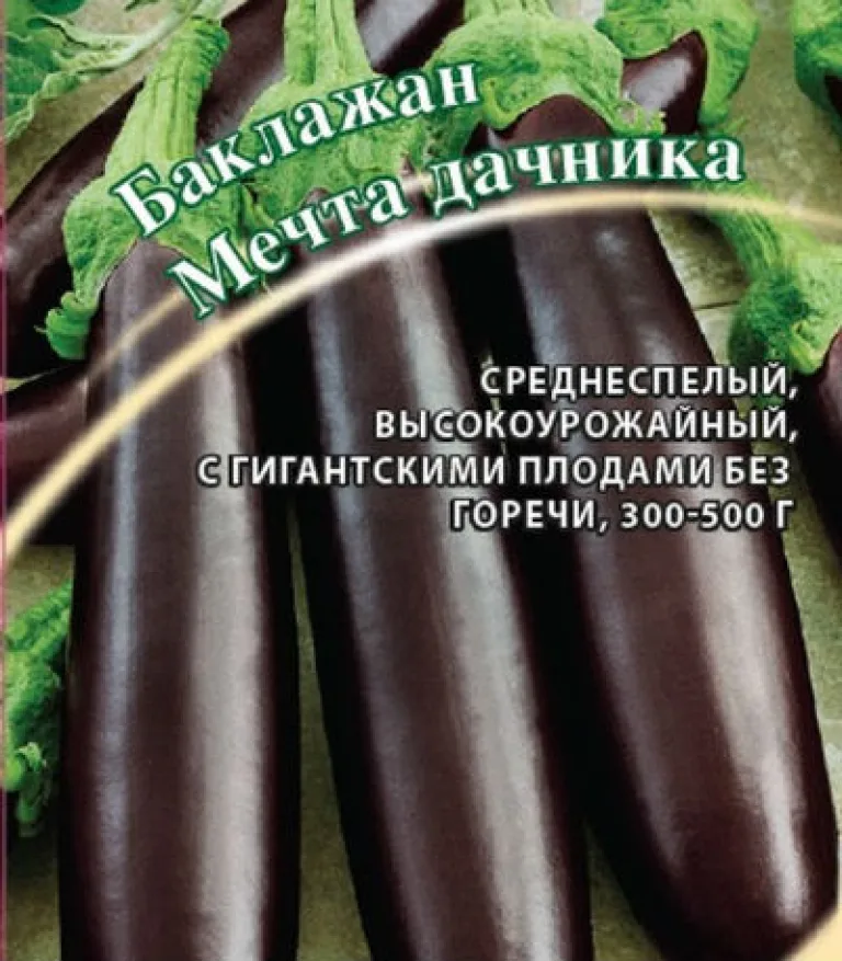 Баклажан ‘Мечта дачника’