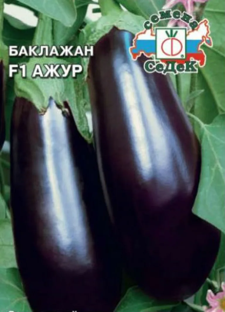 Баклажан ‘Ажур F1’