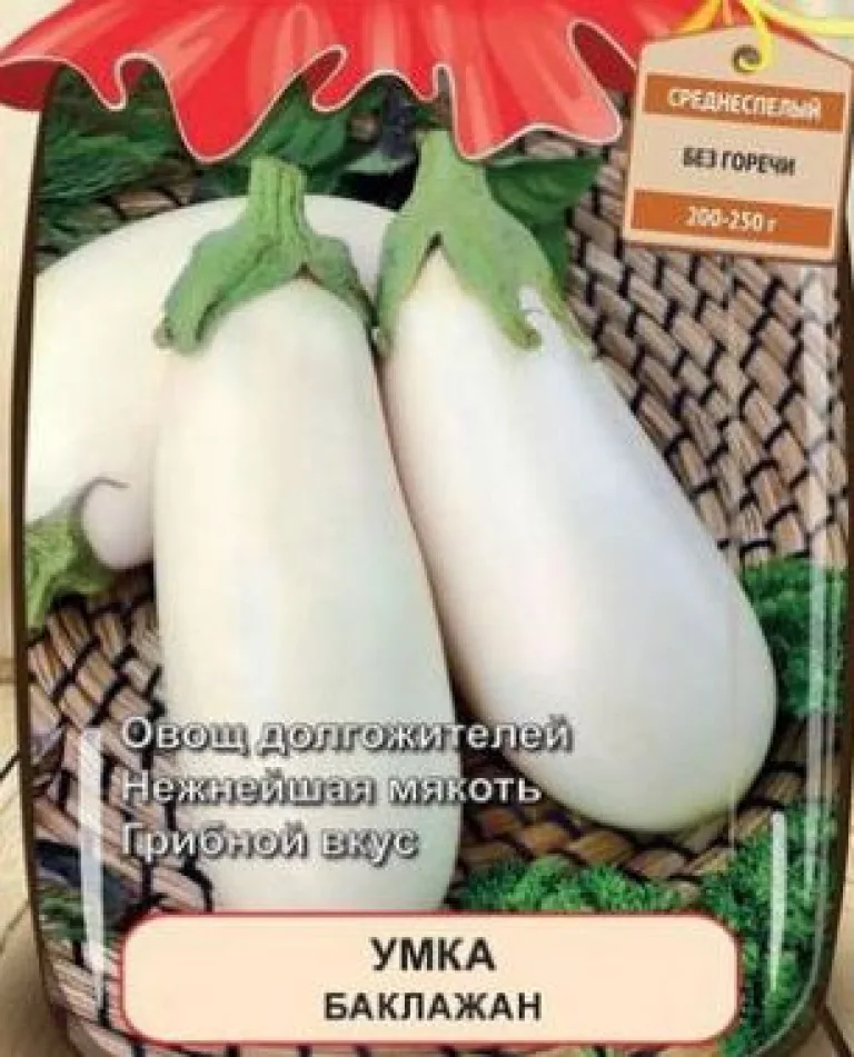 Баклажан ‘Умка’