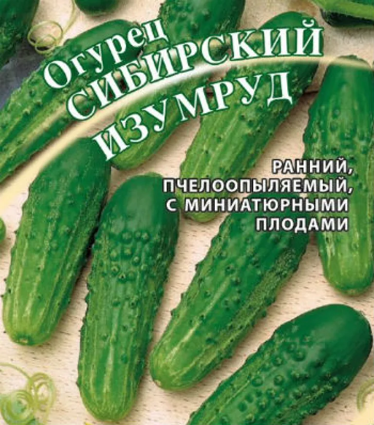 сорт огурцов ‘Сибирский изумруд’