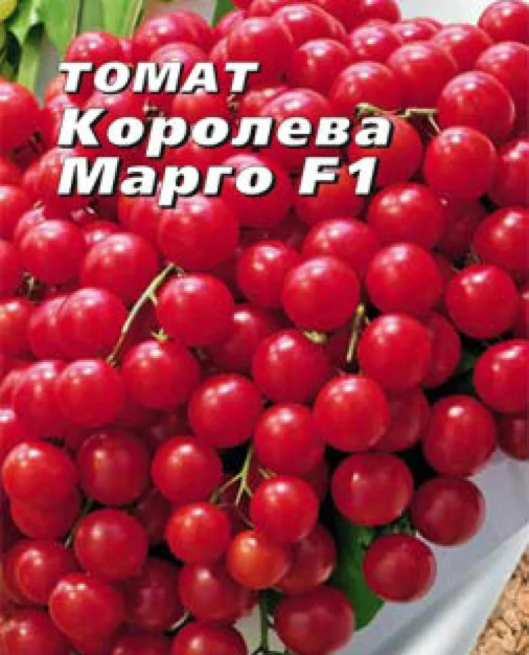 Черри томат 'Королева Марго F1'