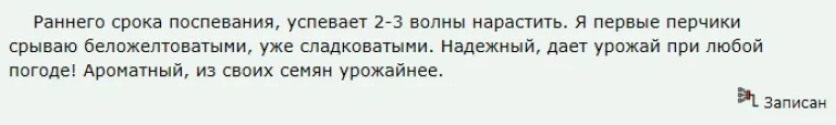 отз бел