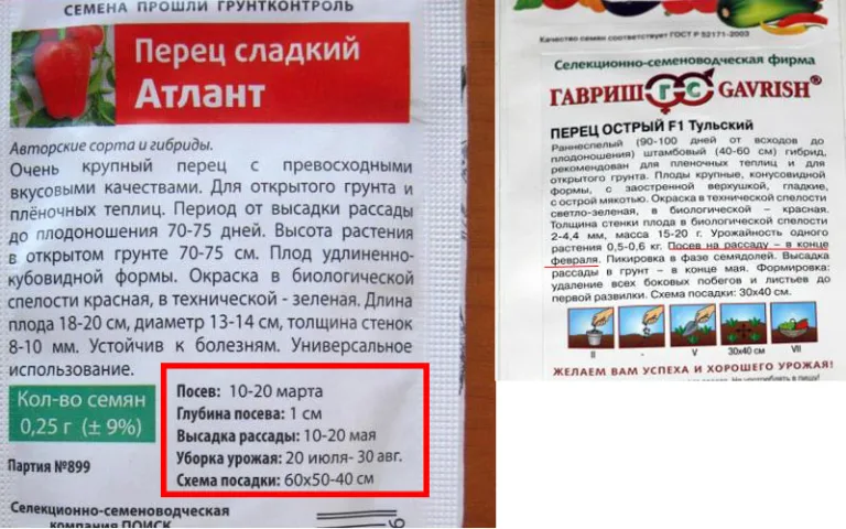 посадка семян перцев на рассаду
