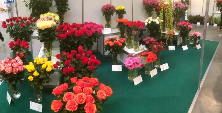 Международная выставка FlowersExpo стала самым главным событием для "зеленого сектора" России