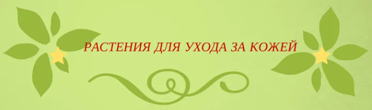 Какие растения помогают в уходе за кожей?