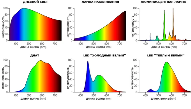 Сравнение LED-ламп и газоразрядных ламп (ДНаТ) в условиях теплицы