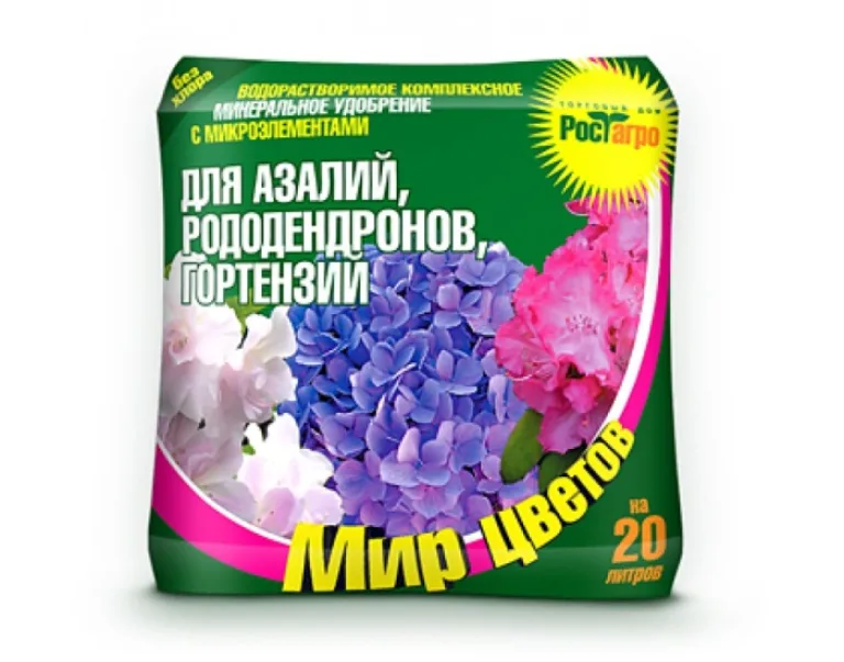 Правила внесения удобрений для азалий и рододендронов