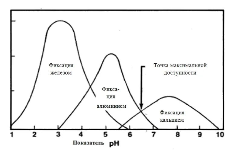 Фосфорные удобрения, часть 2: когда вносить, секреты применения и обзор популярных марок