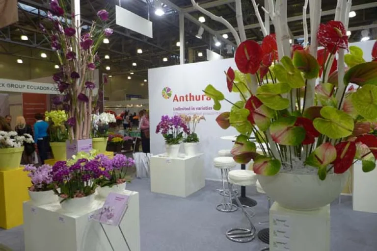 Международная выставка FlowersExpo стала самым главным событием для "зеленого сектора" России
