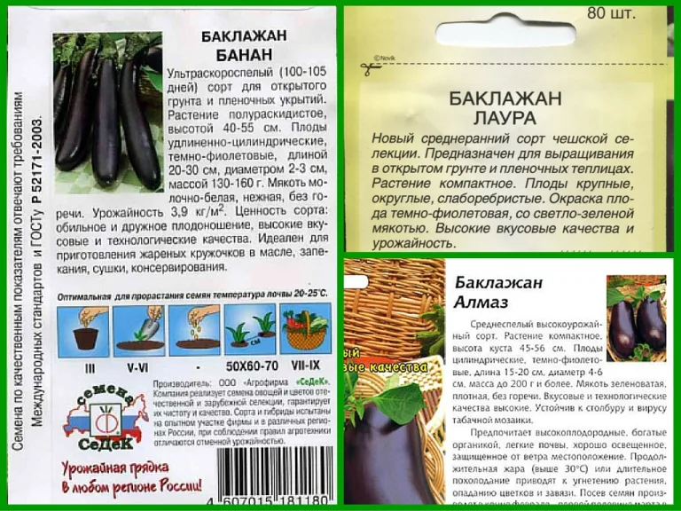 сорта баклажанов