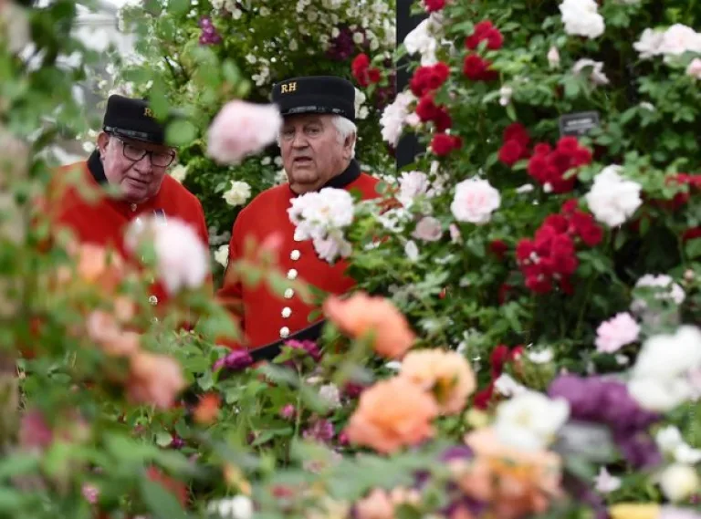 Выставка Chelsea Flower Show-2015 прошла с привычным размахом