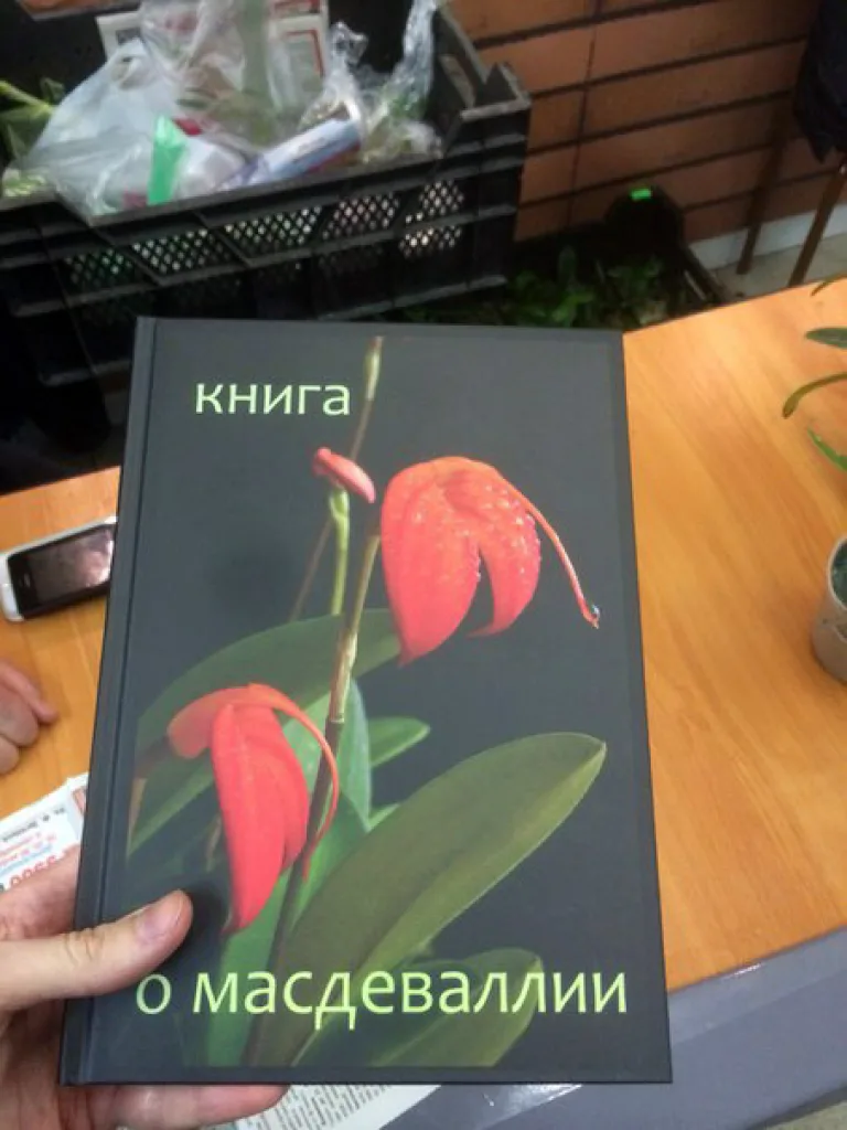 Поздравляем коллекционера редких орхидей Елизавету Новикову (Нуникян) с выпуском собственной "Книги о масдеваллии"