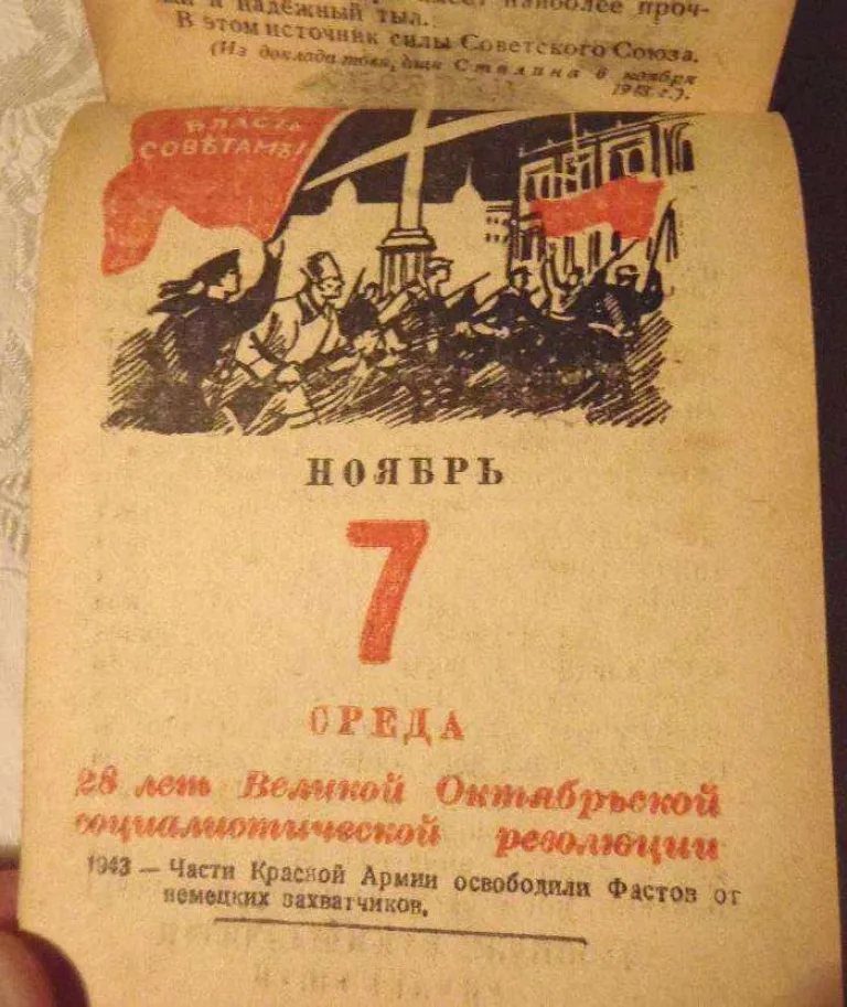 Новогодняя ель — древние корни традиции