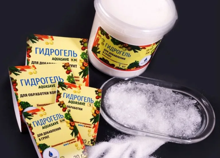 Пряные травы на подоконнике кухни