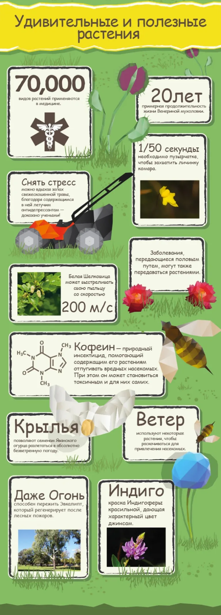50 невероятных фактов о растениях