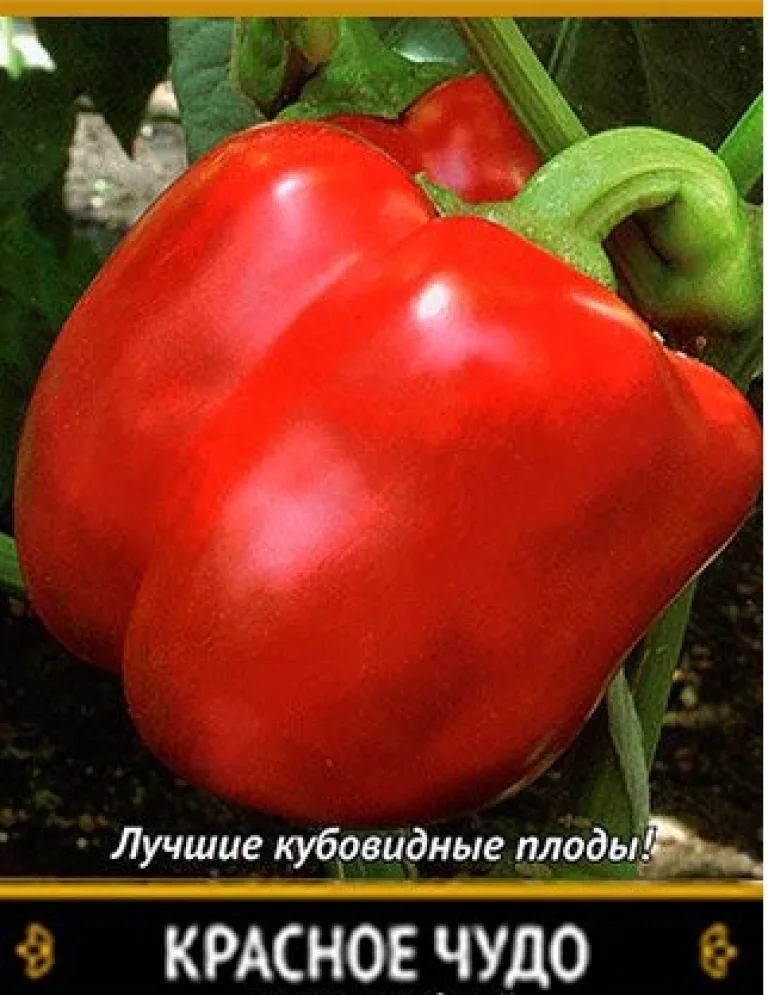 перец красное чудо