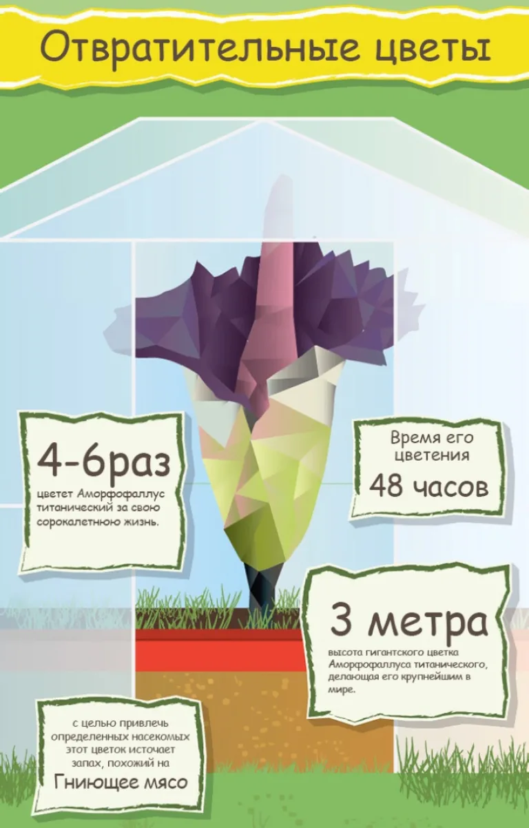 50 невероятных фактов о растениях