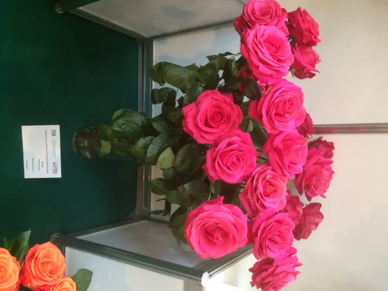 Международная выставка FlowersExpo стала самым главным событием для "зеленого сектора" России