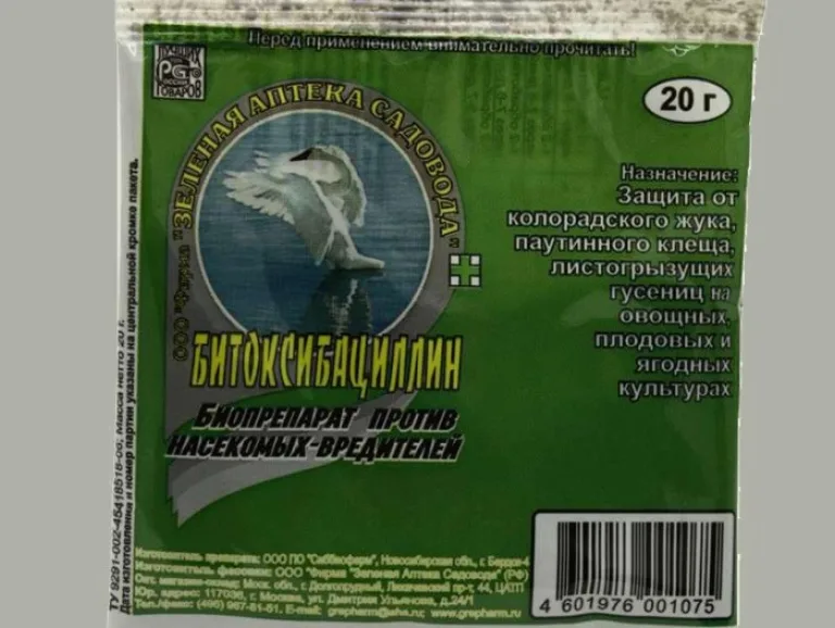 Инсектициды: помощь в борьбе с вредителями