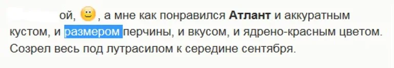 отз