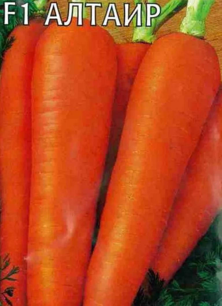 Морковь ’Алтаир’