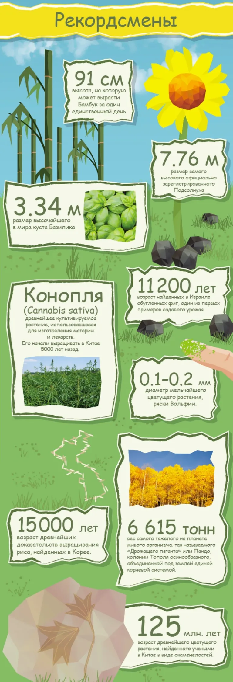 50 невероятных фактов о растениях