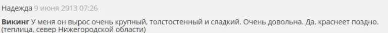 отз викинг