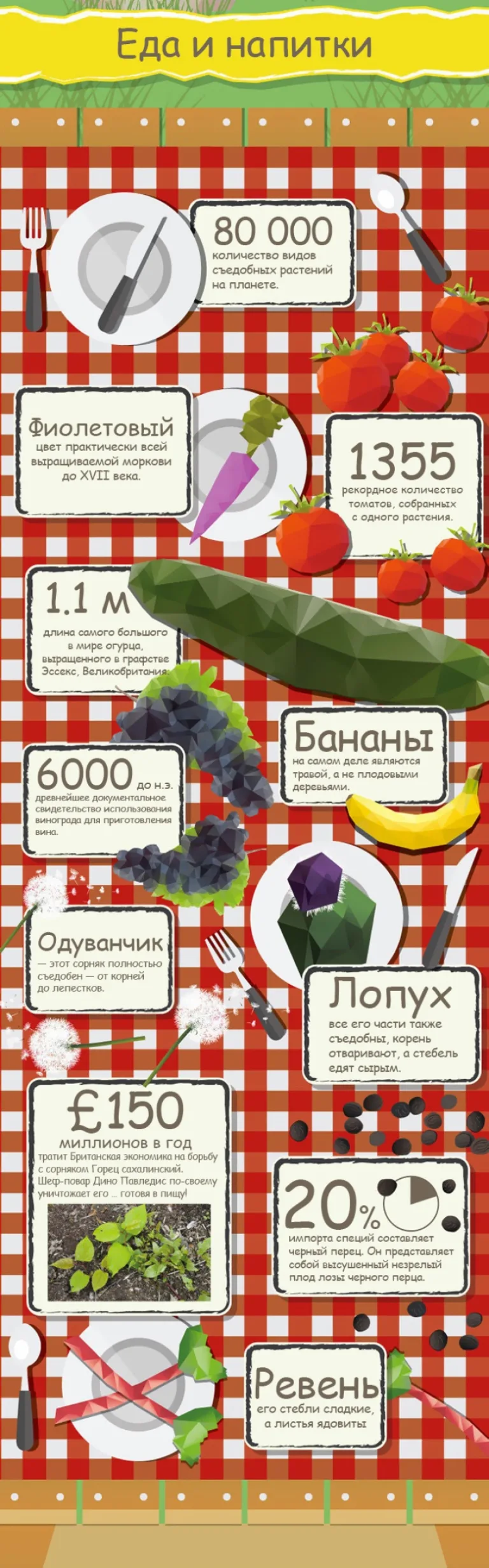 50 невероятных фактов о растениях