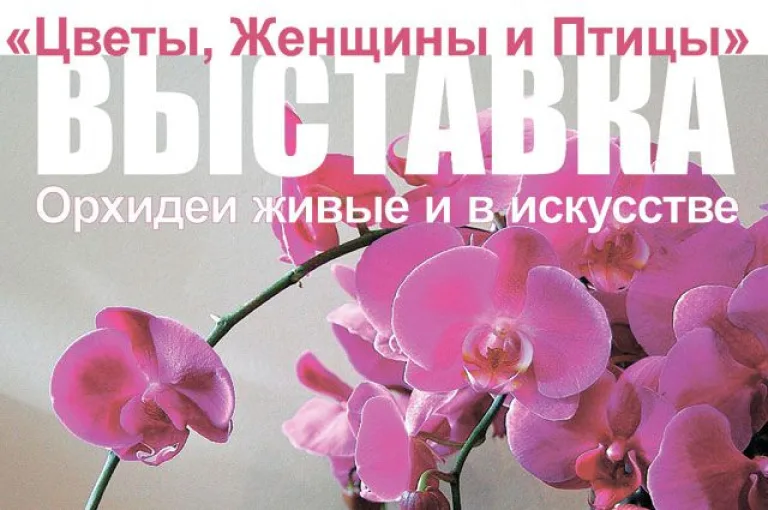 Иркутские орхидеи вдохновили на создание предметов искусства