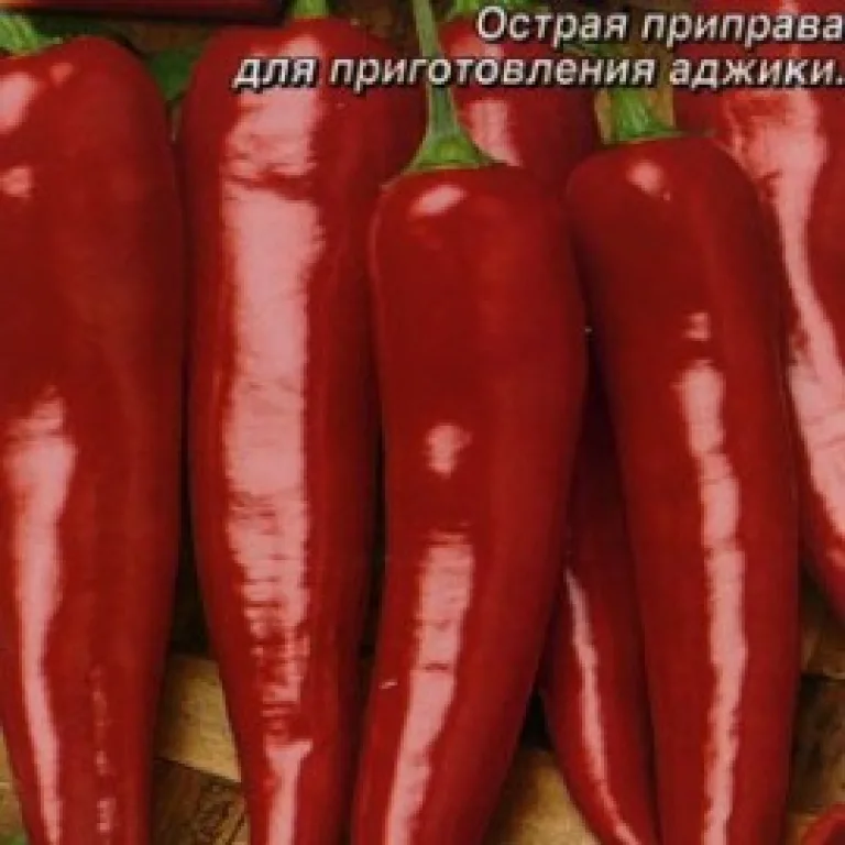 Самые лучшие сорта острого перца — наш экспертный ТОП!
