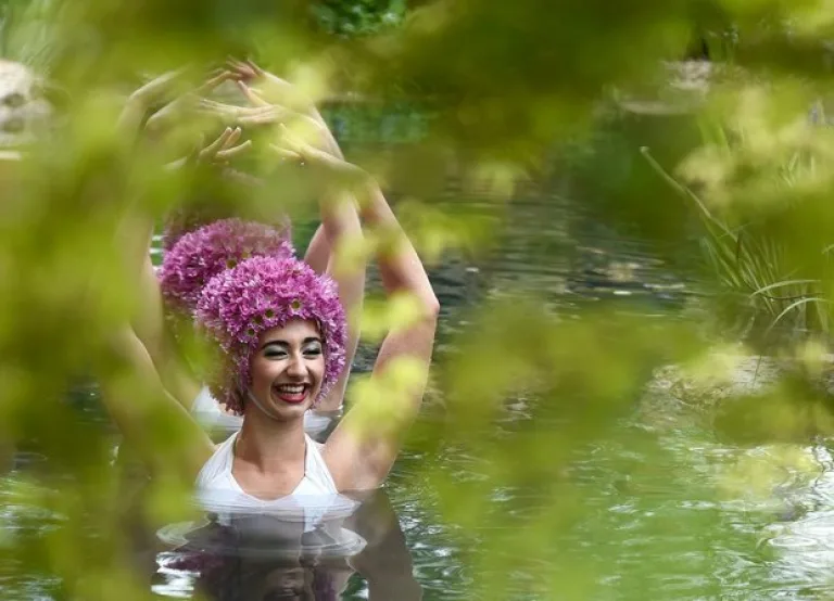 Выставка Chelsea Flower Show-2015 прошла с привычным размахом