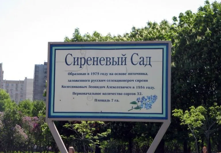 Московский Сиреневый сад обрел вторую жизнь