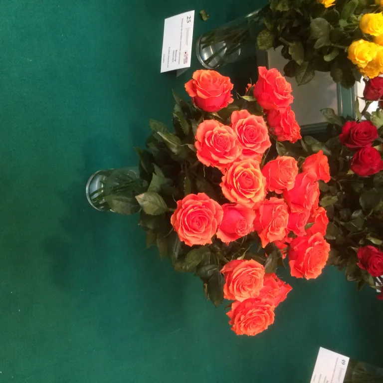 Международная выставка FlowersExpo стала самым главным событием для "зеленого сектора" России
