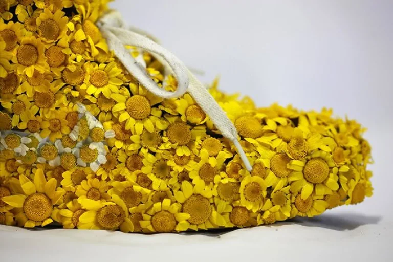 Кроссовки из цветов, коры и мха — бесплатную рекламу Nike сделал художник из Парижа Кристоф Гине