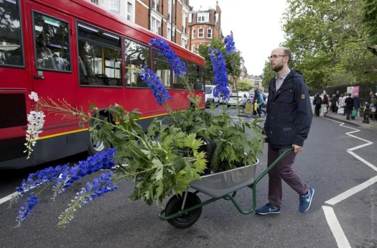 Выставка Chelsea Flower Show-2015 прошла с привычным размахом