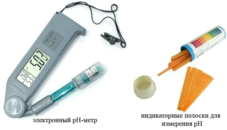 Почва для сенполий: покупной грунт или «самодельный»?