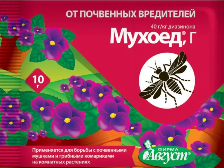 Инсектициды: помощь в борьбе с вредителями