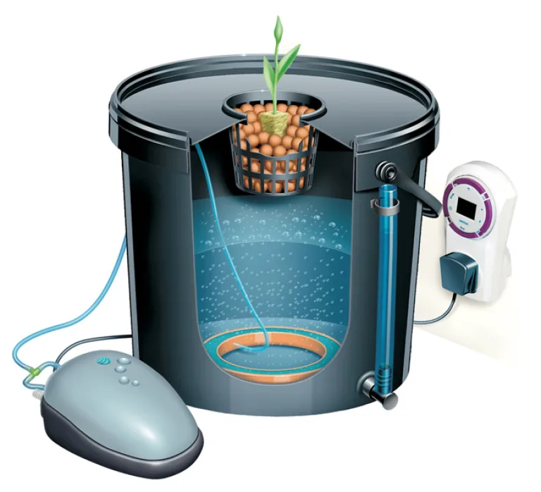 deep water cultivation
