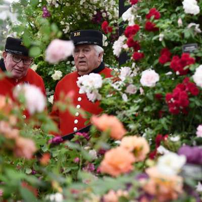 Выставка Chelsea Flower Show-2015 прошла с привычным размахом